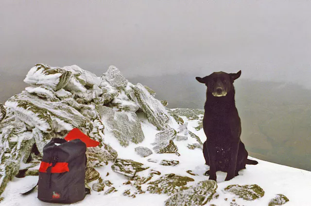 Ben Vorlich North Top - Argyll and Bute