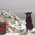 Ben Vorlich Summit