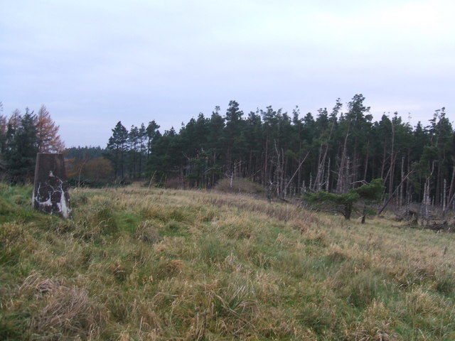 Greystoke Forest England The Mountain Guide