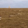 Summit of the Hill of Clibberswick