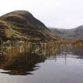 Mid Craig from Loch Skeen