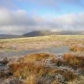 The Tiny Lochan on the summit of Watch Knowe