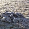 Watch Knowe's North Cairn looking to the Summit Cairn