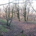 Defensive ditch and bank, Hood Hill