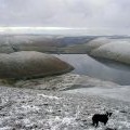 The Megget Reservoir from the summit of Clockmore