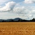 The Wrekin