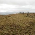 Fence corner on Whitehope Heights