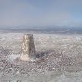 Scald Law summit