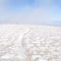 Scald Law summit