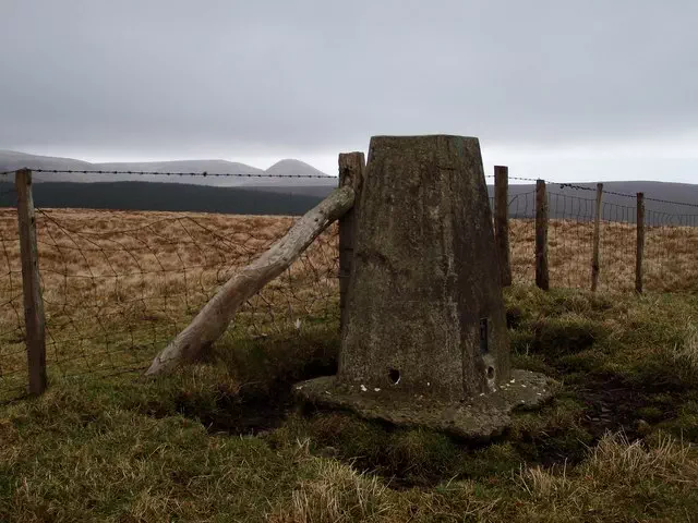 Nyth-grug - Powys