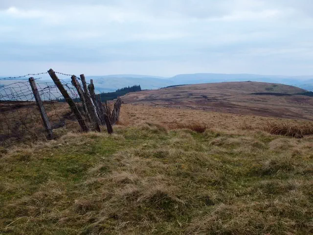 Crugyn Llwyd - Powys