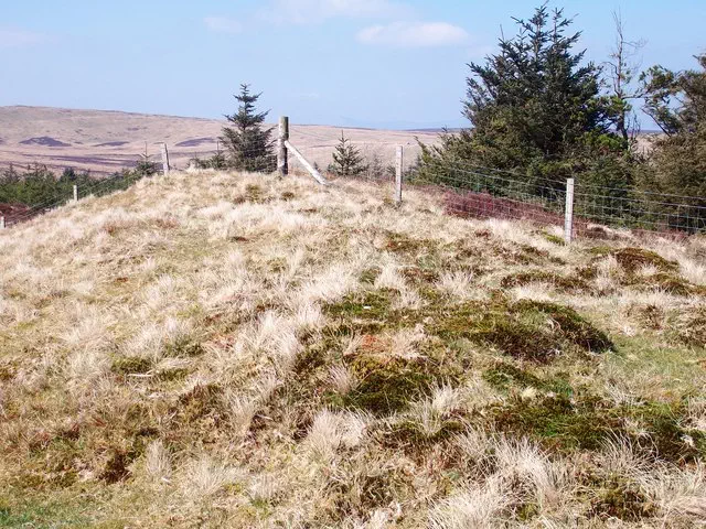 Bryn yr Wyn - Powys