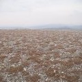 Summit area, Meall an Fhuarain