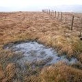 Black Cleuch Hill summit