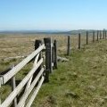 Summit fence, Bell Craig