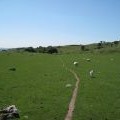 Clwydian Way crossing Bryn Alyn