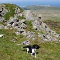 Summit of Foel Lwyd