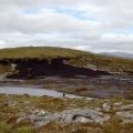 Peat bog by the summit