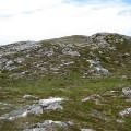 Meall nan Doireachan