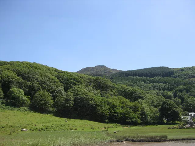 Bryn Brith - Gwynedd