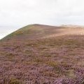 Rhossili Down