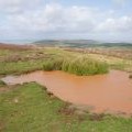 Red Pond, the Beacon