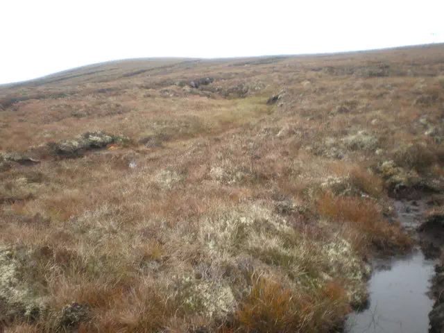 Beinn nan Oighrean - Highland