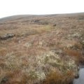 Moorland  east of Beinn nan Oighrean