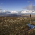 Way marker on Plover Hill