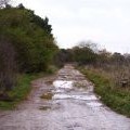 Rough track across Shotover Plain to Littleworth