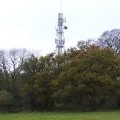 Mobile phone mast at Shotover