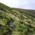 On Shielhope Head