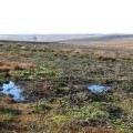 Spongy ground above Boltslaw Flat