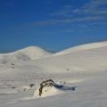 Allermuir Hill