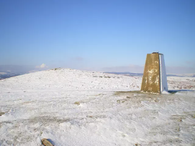 Moel Bentyrch - Powys