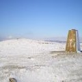 Moel Bentyrch summit