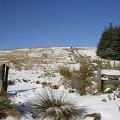 On the way to the summit of Mullwhanny