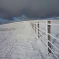 Fences on Hart Fell summit plateau