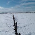 Fence on Boltslaw West