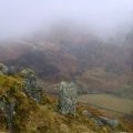 On Bell Knott