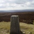 Trig point on Urra moor, Round hill or Botton head.