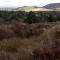 Summit of Clawbelly Hill