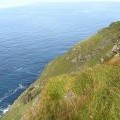 Cliff at Scantips, Fitful Head