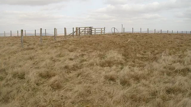 Black Rig - Dumfries and Galloway