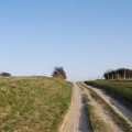 The South Downs Way, Bourne Hill