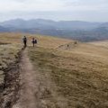 Path over Little Dodd