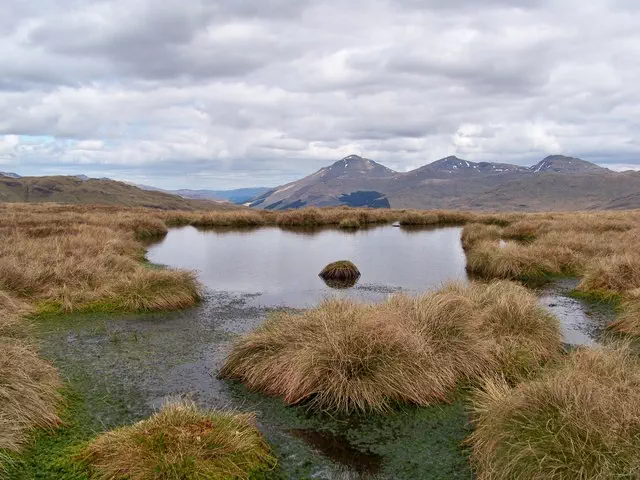 Creag nan Caorann - Argyll and Bute