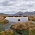 Moorland View Towards Ben More