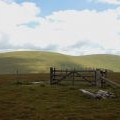 Fence junction, Long Grain Knowe