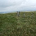 Fence atop Penbreck